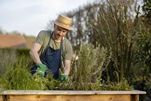 Single Person Gardening Drucke: Gardener