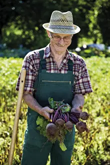 Daytime Gardening Drucke: Gardener with beetroot