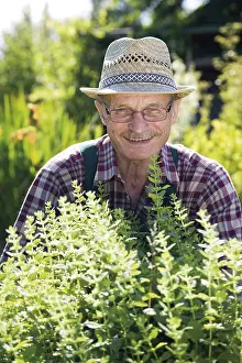 Caucasian Male Gardener Drucke: Gardener in herbal patch
