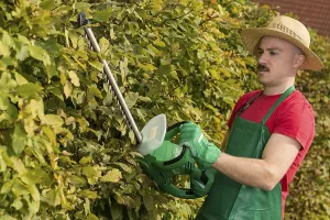 Caucasian Man Gardening Drucke: Gardener using a hedge trimmer