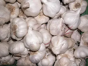 Market Stall Food Drucke: Garlic