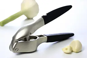 Kitchen Utensil Drucke: Garlic