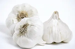 Garlic Bulb Photography Drucke: Garlic