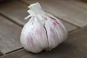 Vegetable Nutrition Drucke: Garlic