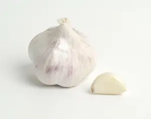 Garlic Nutrition Drucke: Garlic