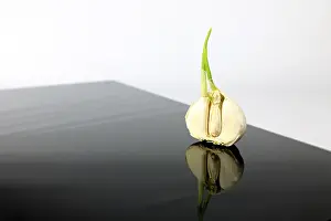 Minimalist Food Photography Drucke: Garlic on a black plate with reflective effect