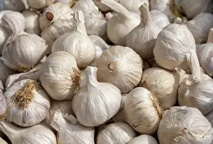 Deserted Spice Market Scene Drucke: Garlic bulbs