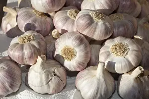 Garlic Bulb Close Up Drucke: Garlic bulbs, Germany
