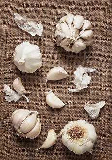 Close Up Garlic View Drucke: Garlic on burlap, top view, vertical