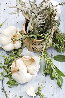 Indoor Herb Garden Drucke: Garlic with herbs