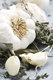 Indoor Herb Garden Drucke: Garlic and herbs