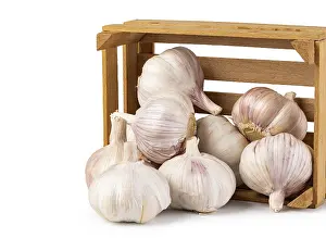 Garlic Detail Drucke: Garlic Isolated on white background