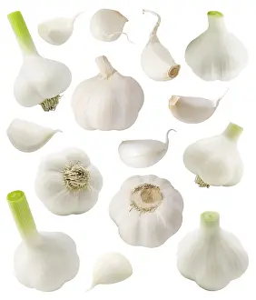 White Background Studio Shot Drucke: Garlic set separately isolated on a white background