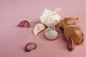 Studio Background For Food Photography Drucke: Garlic and shallots