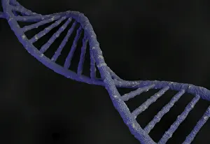 DNA Drucke: Genetischer Code Struktur des DNA-Moleküls. 3D-Rendern.