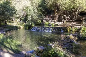 Uninhabited River View Drucke: Gentle waterfall on a river surrounded by trees