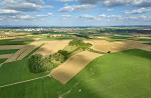 Drucke von Geometrische Landschaftsmuster reifer Getreidefelder auf den fruchtbaren Feldern des Langes Felds nördlich von Stuttgart, Baden-Württemberg, Deutschland Stuttgart Drucke: Geometrische Landschaftsmuster reifer Getreidefelder auf den fruchtbaren Feldern des Langes Felds nördlich von