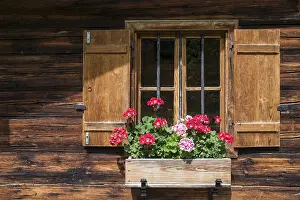 Tyrol Farmhouse Drucke: Geraniums at the window of a farmhouse