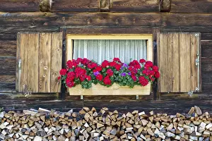 Austrian Botany Photos Drucke: Geraniums in front of window of mountain hut