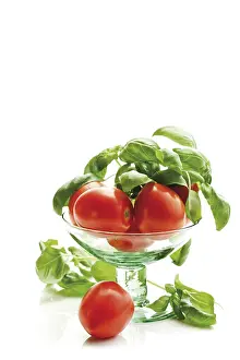Indoor Leafy Plants Drucke: German Tomatoes with basil