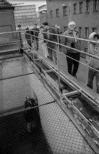 Wreath Laying Ceremony Drucke: Germany, Berlin, 06.03.1992, Cage for release