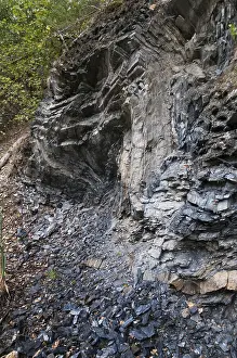 Protected Area In Middle Europe Drucke: Germany, graptolites, Thuringia