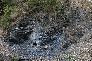 Central Europe Scenery Drucke: Germany, graptolites, Thuringia