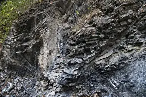 German Nature Park Drucke: Germany, graptolites, Thuringia