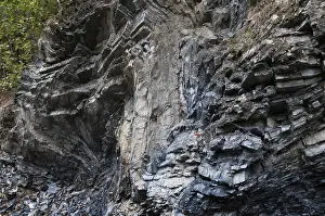 Central European Landmark Drucke: Germany, graptolites, Thuringia