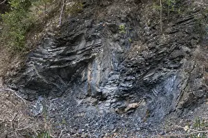 German Tourist Attraction Drucke: Germany, graptolites, Thuringia
