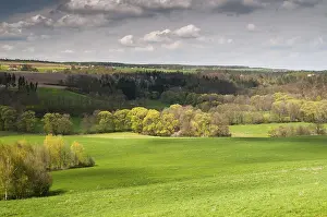 Thuringia Landscape Drucke: Germany, Greiz, Thuringia, Thuringia