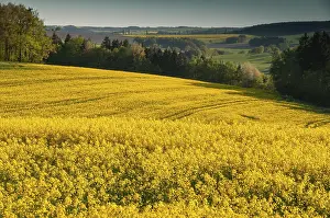 Central European Landscape Drucke: Germany, Greiz, Thuringia, Thuringia