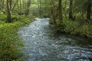 Germany Landscape Photography Drucke: Germany, Greiz, Thuringia, Weidatal