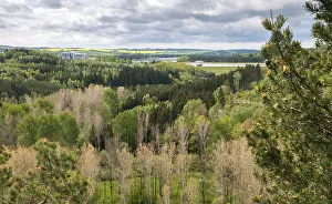 Thuringia Landscape Photography Drucke: Germany, Greiz, Thuringia, Weidatal