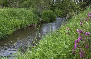 European River Landscapes Drucke: Germany, Greiz, Thuringia, Weidatal