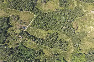 European Moorland Landscapes Drucke: Germany, Pollwitz Forest, Thuringia