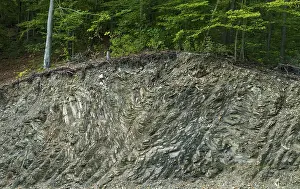 Old Man With Beard Photo Drucke: Germany, Thuringia, Thuringia, geotope