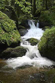 European Wilderness Photography Drucke: Gertelbach Falls in the Black Forest
