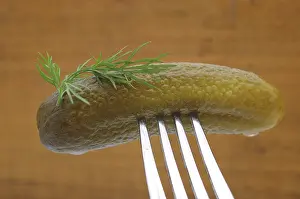 Vegetable Photography Studio Drucke: Gherkin on a fork