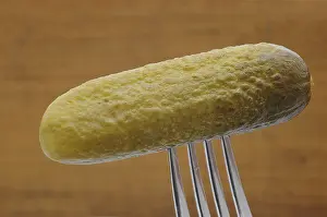 Cucumber Nutrition Facts Drucke: Gherkin on a fork