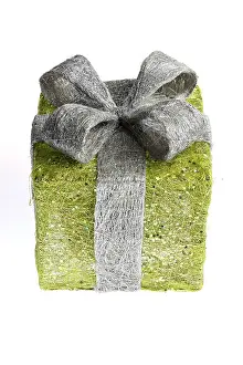 Wrapped Birthday Gift Drucke: Gift box, present