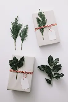 Christmas Decoration Drucke: Gift boxes with green plants white table