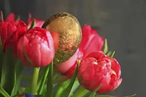 Eastern Germany Landmarks Drucke: Gilded Easter Egg, Dresden, Saxony