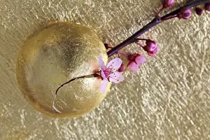 Flowering Branches Drucke: Gilded Easter Egg and Flowering Branch