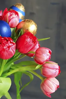 Colorful Spring Flowers Drucke: Gilded Easter eggs, tulips, studio shot