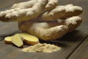 Medicinal Plant Nutrition Drucke: Ginger, ginger root and ginger powder