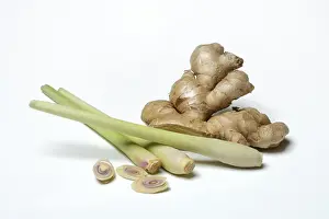 Ginger Root Nutrition Drucke: Ginger, ginger root and lemongrass