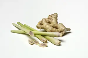 Ginger Root Nutrition Drucke: Ginger, ginger root and lemongrass