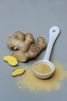 Food Photography Ginger Drucke: Ginger root and ginger powder in spoon