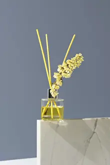 Aromatherapy Wellness Drucke: A glass aromatic diffuser with reed sticks